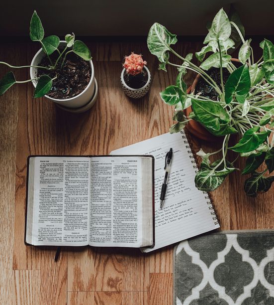 A vibrant image symbolizing growth in faith and community.